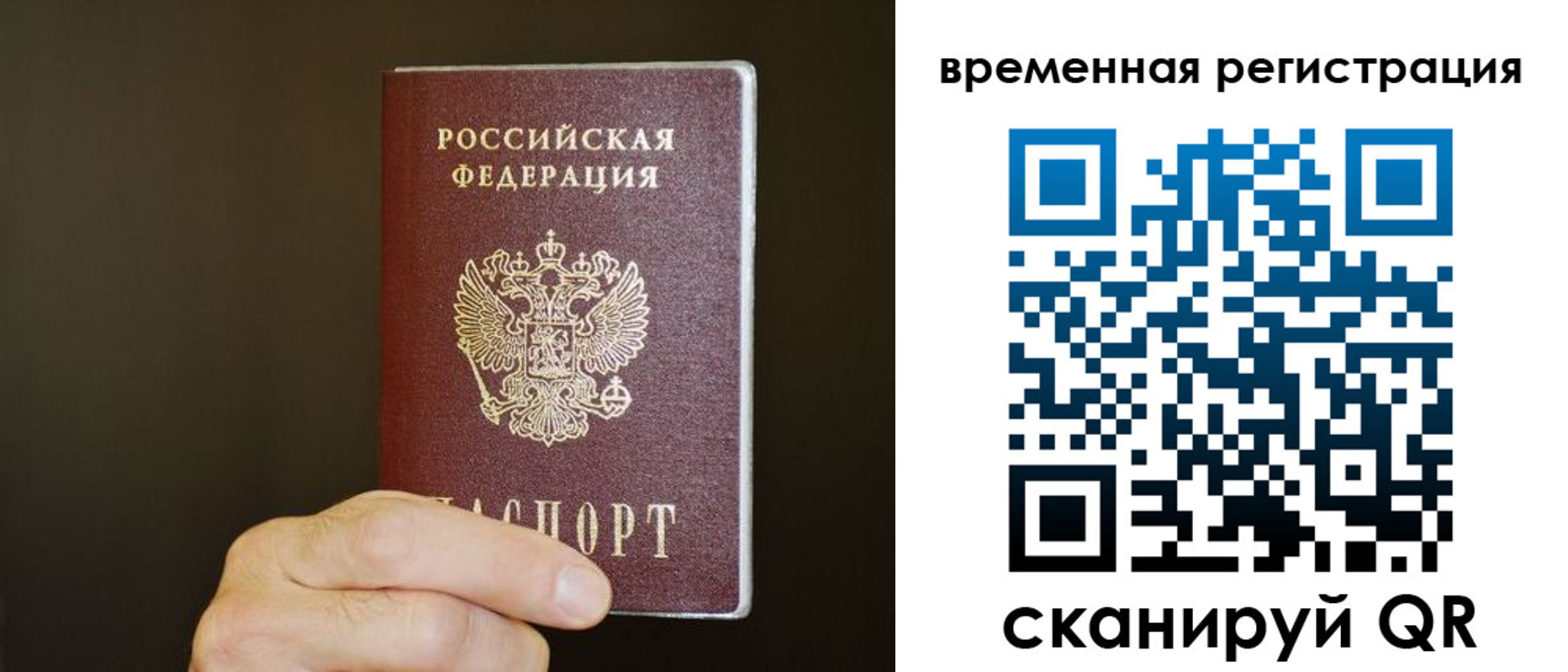 прописка гарантия в Похвистнево